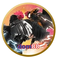 dom88