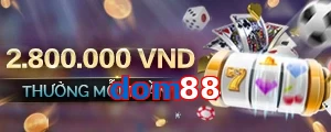 dom88