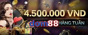 dom88