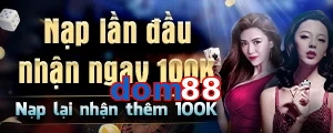 dom88